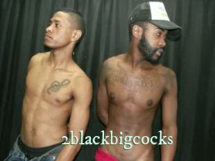 2blackbigcocks