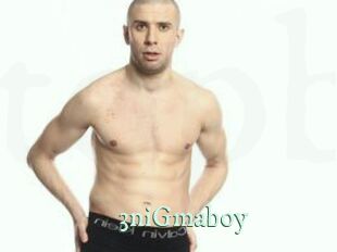 3niGmaboy Top Blog X
