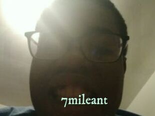 7mileant