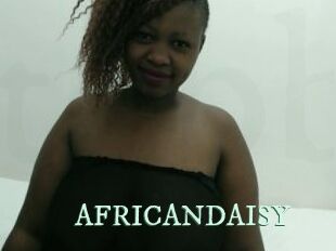 AFRICANDAISY