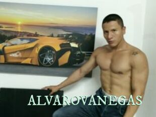 ALVAROVANEGAS