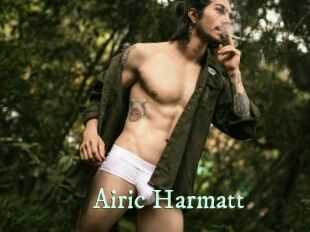Airic_Harmatt Top Blog X