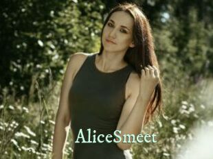 AliceSmeet Top Blog X