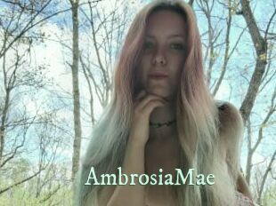 AmbrosiaMae