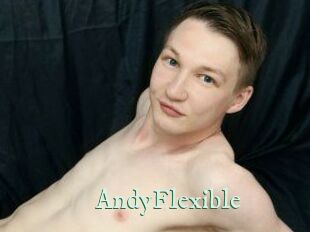 AndyFlexible