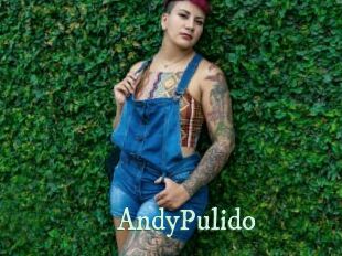 AndyPulido