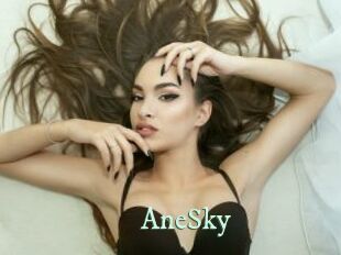 AneSky