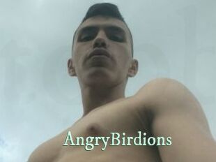 AngryBirdions