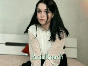 AriaRoach