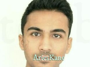 Aries_Kane Top Blog X
