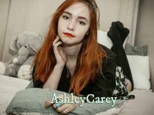 AshleyCarey Top Blog X