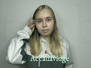 Accadavidge