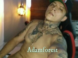 Adamforest