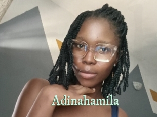 adinahamila Top Blog X