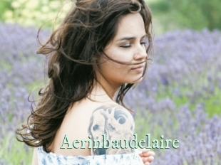aerinbaudelaire Top Blog X