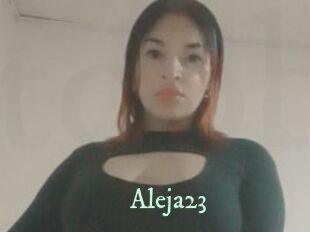 Aleja23