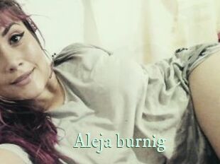 Aleja_burnig