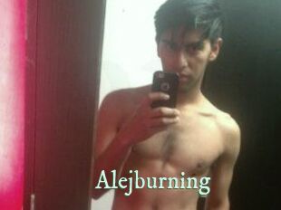 Alejburning