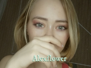 Alexflower