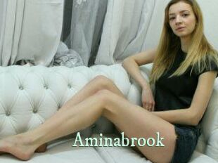 Aminabrook