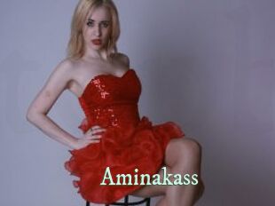 Aminakass