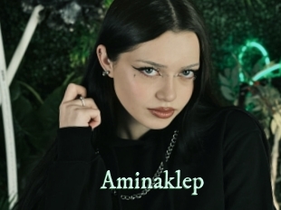 Aminaklep