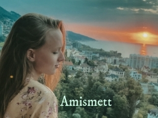 Amismett