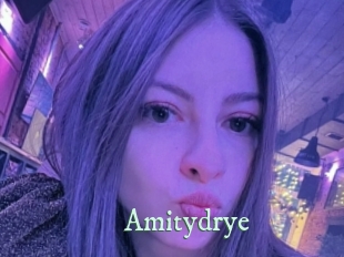 amitydrye Top Blog X