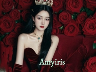 amyiris Top Blog X