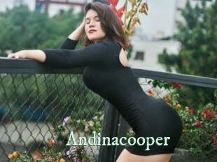 Andinacooper