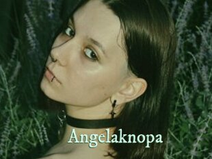 Angelaknopa