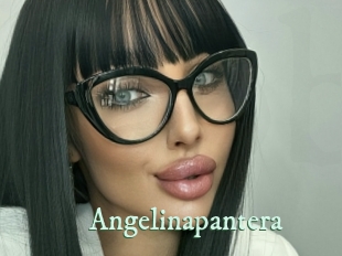 Angelinapantera