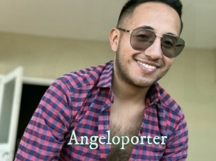 Angeloporter