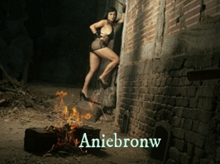 Aniebronw