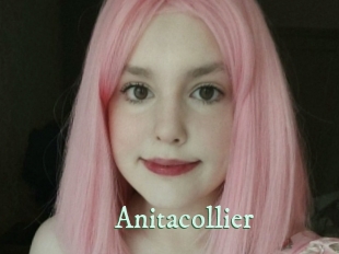 Anitacollier