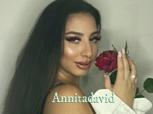 Annitadavid