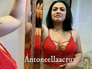 Antoneellaacruz