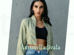 Antonelladivala