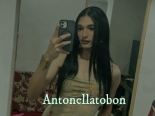 Antonellatobon