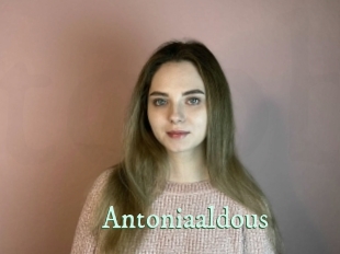 Antoniaaldous