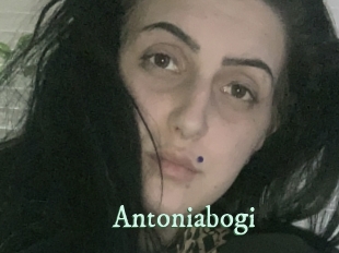 Antoniabogi