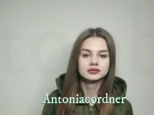 Antoniacordner