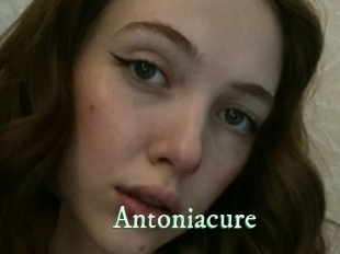 Antoniacure