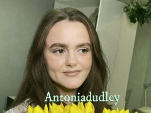 Antoniadudley