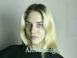 Antoniaedge