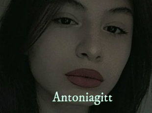 Antoniagitt