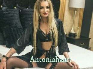 Antoniahaart