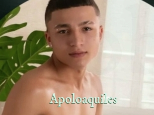 Apoloaquiles