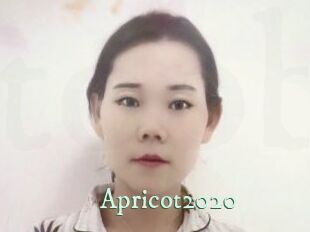 apricot2020 Top Blog X