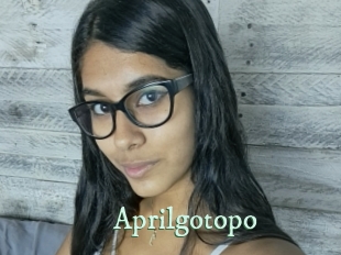 aprilgotopo Top Blog X